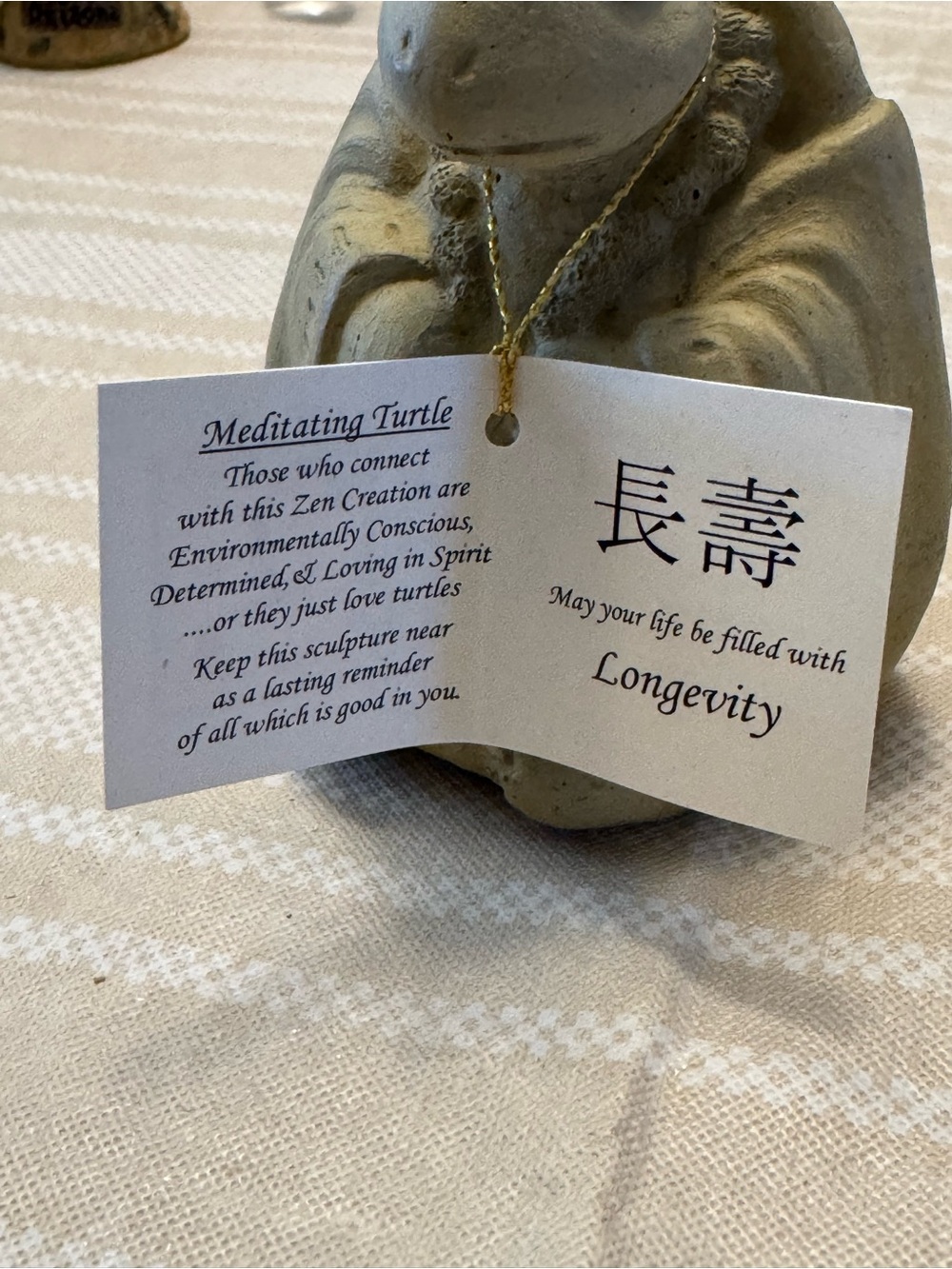 Meditating turtle - Picture 9 of 11
